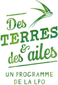 Logo Des Terres et des Ailes